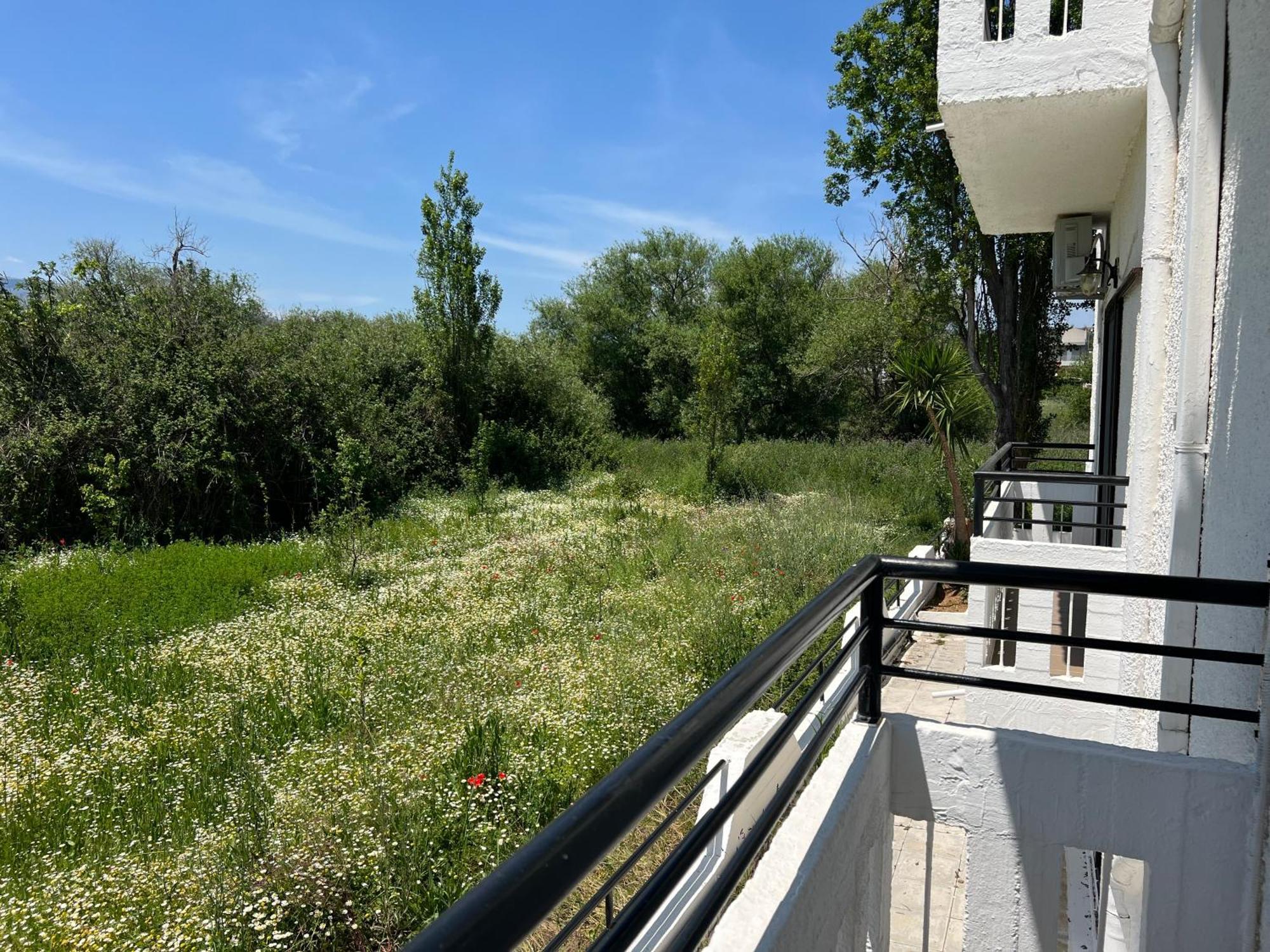 Zourpos Studios & Apartments Калівес Екстер'єр фото